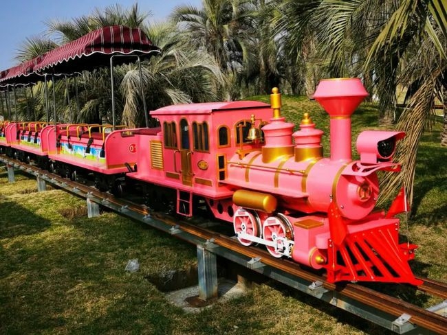 常熟蔣巷生態(tài)園網(wǎng)紅小火車(chē)上線 等你來(lái)撩