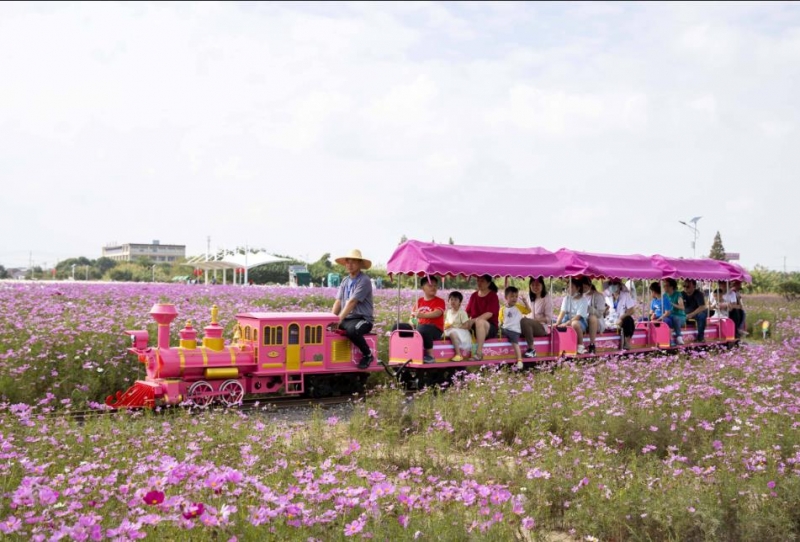 坐小火車(chē)相約泰州愛(ài)情海 歡樂(lè)田園行